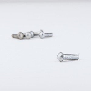 Set of 6 Rivets for Umbo